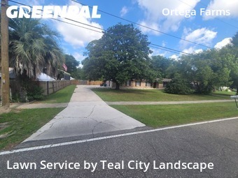 Local Lawn And Landscape Maintenance Services Near Me In Jacksonville,32210,Landscaping Maintenance by Teal City Landscape , work completed in Jul , 2026