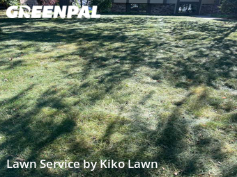 Grass Cut nearby Apple Valley, MN, 