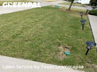 Lawn Service nearby Wylie, TX, 