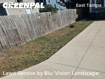 Grass Cutting nearby Tampa, FL, 