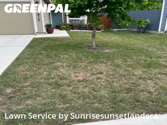 Lawn Cut nearby Seguin, TX, 