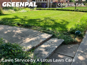 Lawn Care Service nearby Denver, CO, 