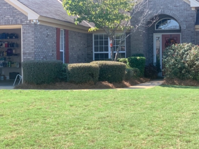 residential-lawn-cutting-businesses-in-Montgomery-AL