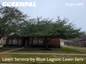 Lawn Care Servicein Sugar Land,77498,Lawn Care Service by Blue Lagoon Lawn Serv, work completed in Feb , 2026