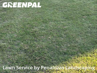 Lawn Mowing Service nearby Suwanee, GA, 