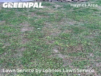 Yard Mowing nearby Nashville, TN, 