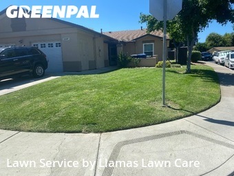 Work completed by lawn-care-experts-near-me-in-San Diego-CA