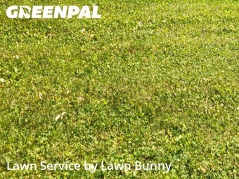 Grass Cutting nearby Lakeville, MN, 