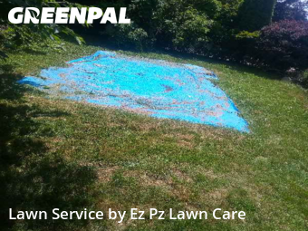 Turf Services in Binghamton, 13901, Weed Trimming by Ez Pz Lawn Care, work completed in Nov , 2025