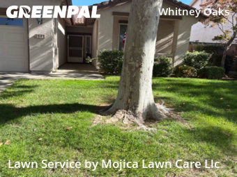 Work completed by local-lawn-cutting-services-in-Rocklin-CA