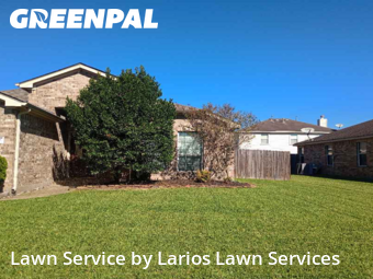 Lawn Cuttingin Pearland,77584,Lawn Cutting by Larios Lawn Services, work completed in Nov , 2025