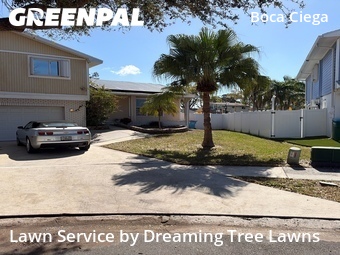 Grass Cut nearby Seminole, FL, 