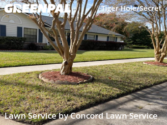 Lawn Maintenance nearby Jacksonville, FL, 