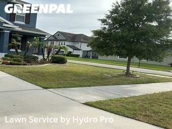 Lawn Mowing Service nearby Wesley Chapel, FL, 