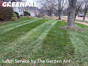 Lawn Cutting nearby Ballwin, MO, 