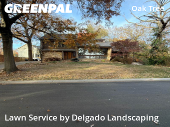 Yard Cutting nearby Overland Park, KS, 