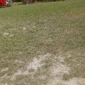 Lawn Care Service in Hitchcock, TX, 78957