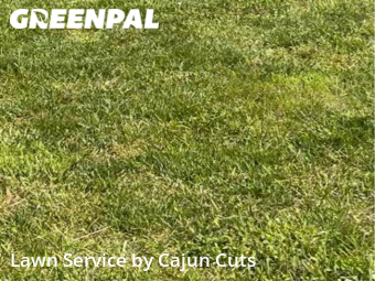 Grass Cut nearby Murfreesboro, TN, 