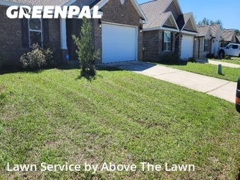 Grass Cutting nearby Bellview, FL, 
