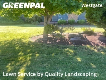 Lawn mowed in Edmonds, 98020