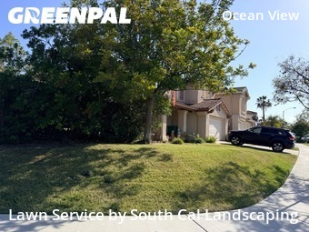 Landscapers In San Diego,92154,Landscaping Renovation by South Cal Landscaping, work completed in Jun , 2026