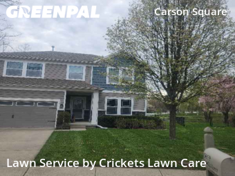 Lawn Mow nearby Indianapolis, IN, 