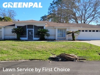 Grass Cut nearby St. Augustine, FL, 