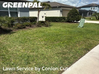 Lawn Mowing nearby Rubonia, FL, 