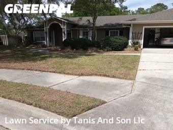 Grass Cut nearby Gainesville, FL, 