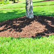 lawn-care-services-in-Columbus-GA