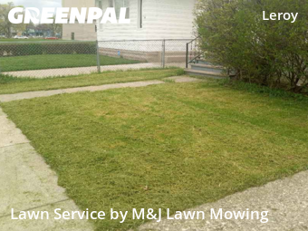 Lawn Maintenance nearby Buffalo, NY, 