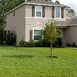 cheap-lawn-cutting-businesses-in-Palm Coast-FL