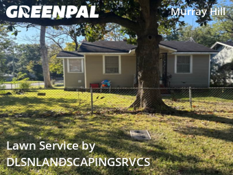Lawn Maintenancein Jacksonville,32205,Grass Cut by DLSNLANDSCAPINGSRVCS, work completed in Nov , 2025