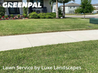 Lawn Cutting nearby Clermont, FL, 