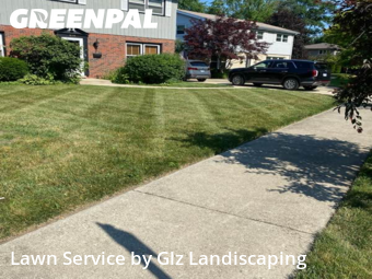 Grass Care in Glenview, 60025, Weed Trimming by Glz Landiscaping, work completed in Nov , 2025
