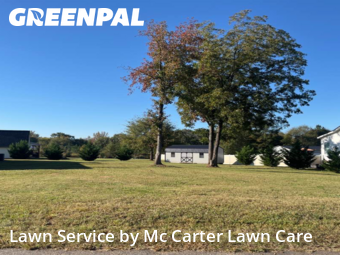 Yard Cutting nearby Campobello, SC, 