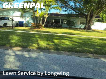 Lawn Mow nearby Largo, FL, 