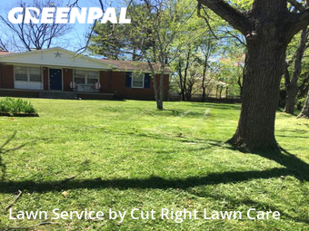 Lawn Mowing nearby Murfreesboro, TN, 