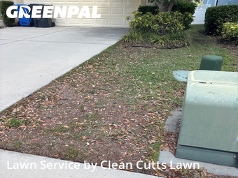 Grass Cut nearby Apollo Beach, FL, 