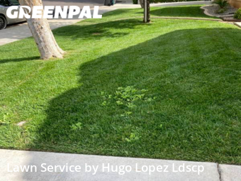 Lawn Care Service nearby Winchester, CA, 