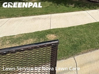 Lawn mowed in Manor, 78653