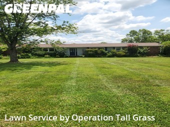 Grass Cutting nearby Lebanon, TN, 