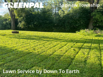 Lawn Service nearby Saginaw, MI, 