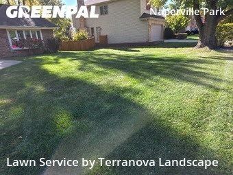 Lawn Mowing Servicein Naperville,60564,Lawn Cut by Terranova Landscape, work completed in Nov , 2025