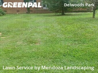 Grass Cut nearby Greensboro, NC, 