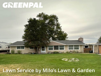 Lawn Mow nearby Kennewick, WA, 