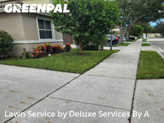 Yard Cutting in Coconut Creek, 33073, Yard Care Services by Deluxe Services By A, work completed in Nov , 2025