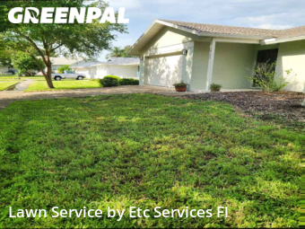Lawn Cut nearby Clearwater, FL, 