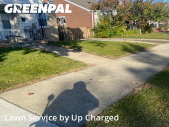 Lawn Services in Dearborn, 48126, Backyard Mowing by Up Charged , work completed in Nov , 2025