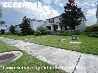 Grass Cut nearby Orlando, FL, 